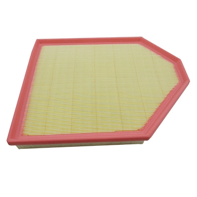 Air Filter (WG1989913)