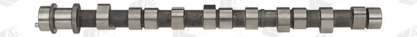 Camshaft (WG1093052)