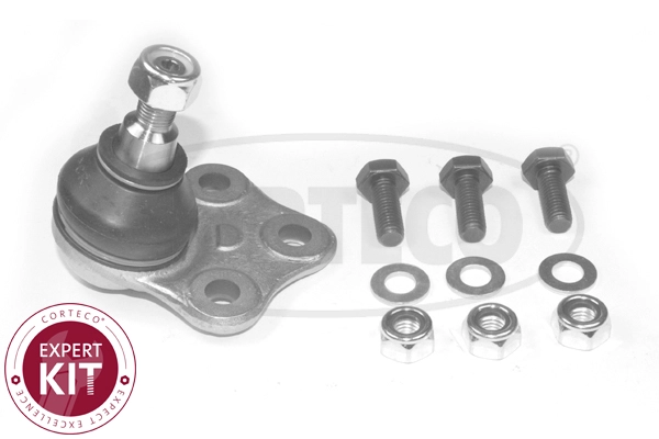Ball Joint (WG2289943)