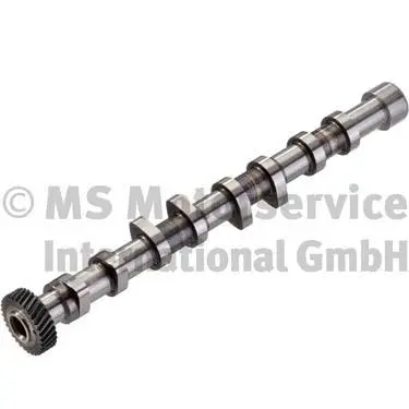 Camshaft (WG1700598)