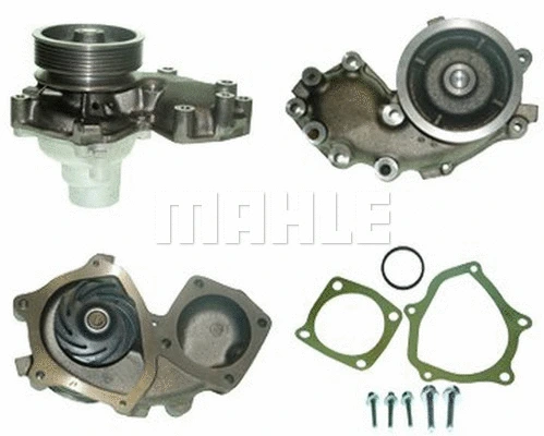 Water Pump, engine cooling (WG2181779)