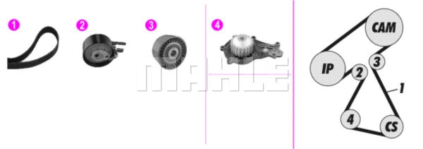 Water Pump & Timing Belt Kit (WG2182137)