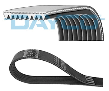 V-Ribbed Belt (WG2003962)