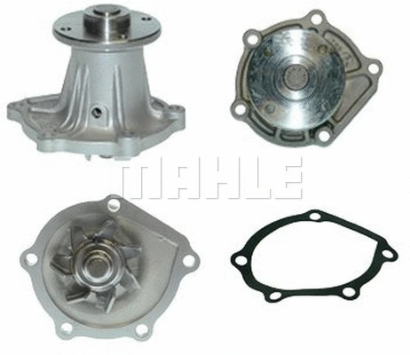 Water Pump, engine cooling (WG2181742)