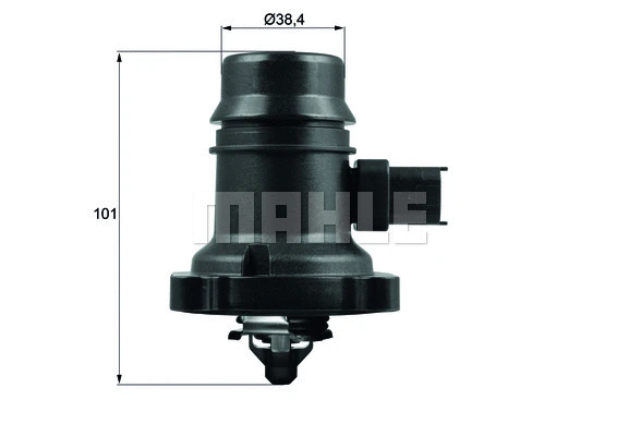 Thermostat, coolant (WG1217771)