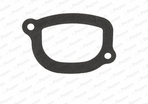 Seal, thermostat (WG1182866)