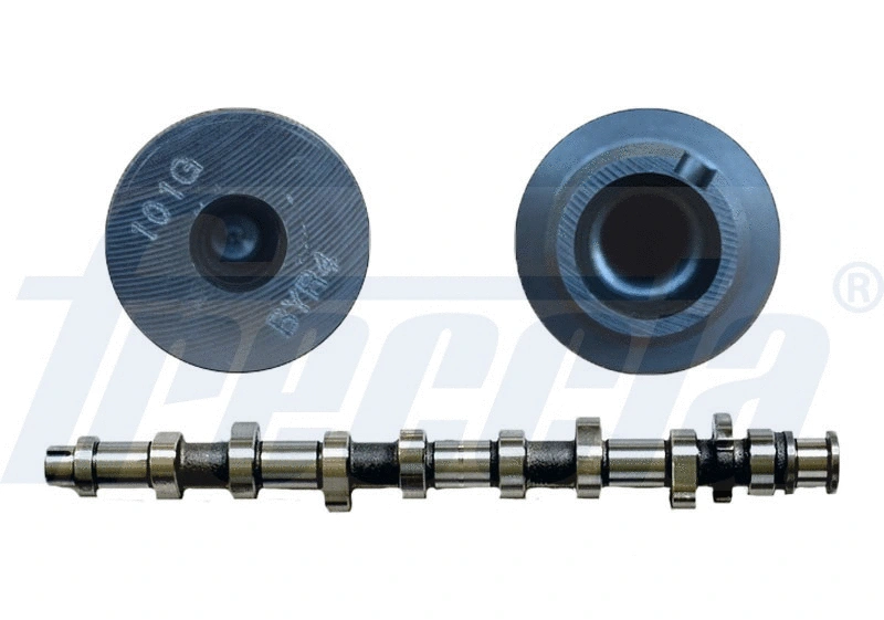 Camshaft (WG1309197)
