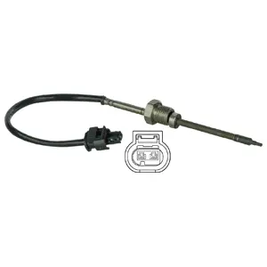Sensor, exhaust gas temperature (WG1774457)
