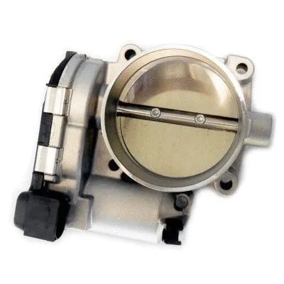 Throttle Body (WG1408851)