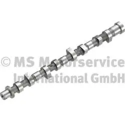 Camshaft (WG2010521)