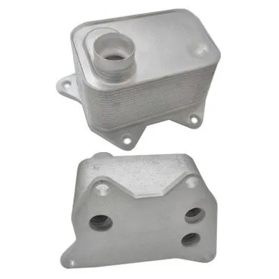 Oil Cooler, engine oil (WG1899826)