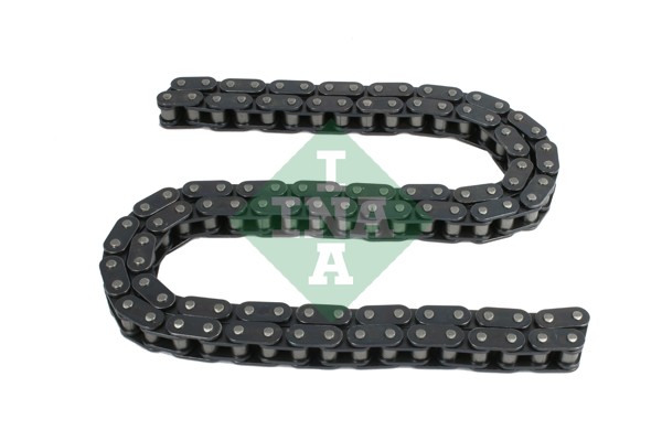 Timing Chain (WG1725306)