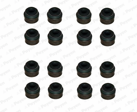 Seal Set, valve stem (WG1181368)