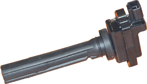 Ignition Coil (WG1012267)