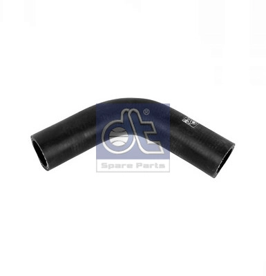 Radiator Hose (WG2309645)