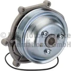 Water Pump, engine cooling (WG1924924)