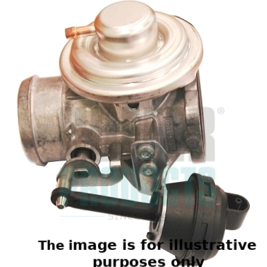 EGR Valve (WG1966137)