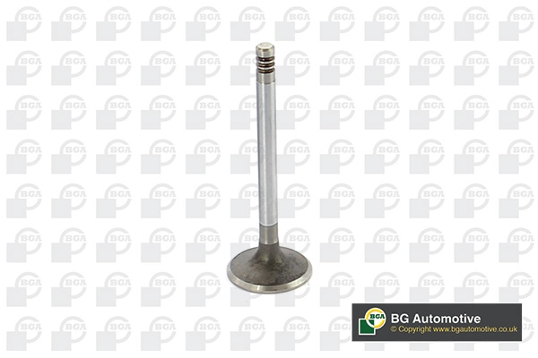 Intake Valve (WG1814461)