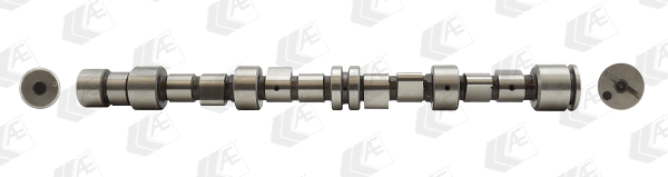 Camshaft (WG1093050)
