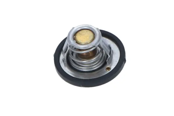 Thermostat, coolant (WG2184792)