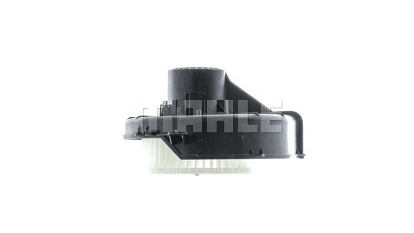 Interior Blower