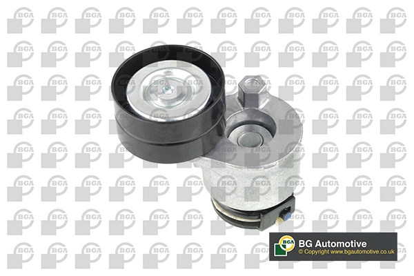 Tensioner Lever, V-ribbed belt (WG1907575)