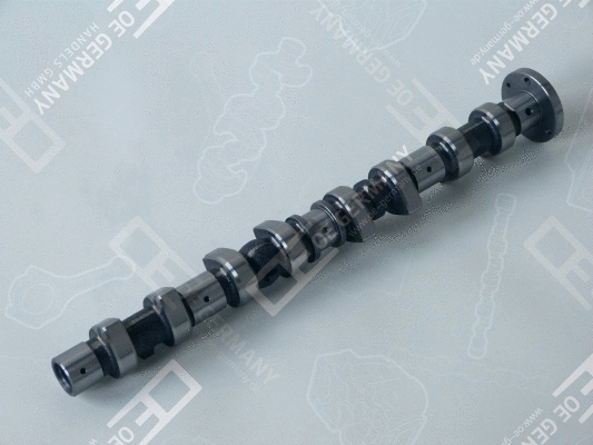 Camshaft (WG1484844)
