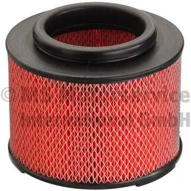Air Filter (WG1019205)