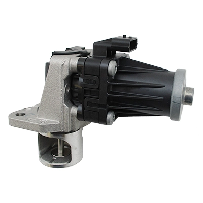 EGR Valve (WG1903844)