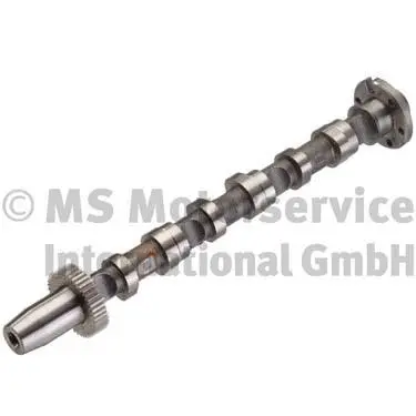 Camshaft (WG1150179)
