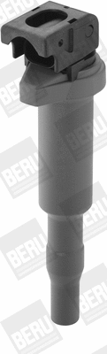 Ignition Coil (WG1487607)