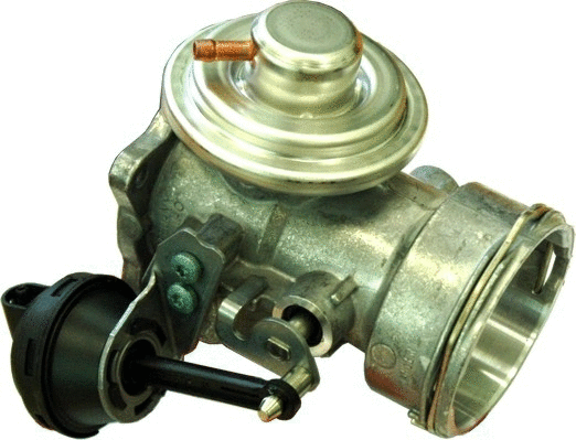 EGR Valve (WG1408696)