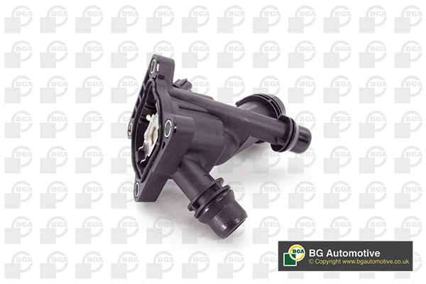 Thermostat, coolant (WG2303968)