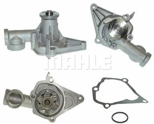 Water Pump, engine cooling (WG2181413)