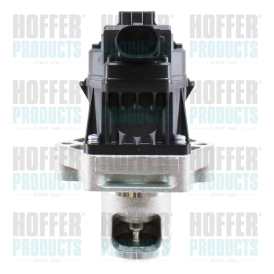 EGR Valve (WG2196321)