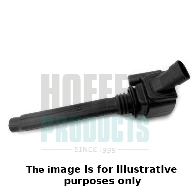 Ignition Coil (WG1965389)