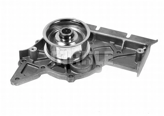 Water Pump, engine cooling (WG2181371)