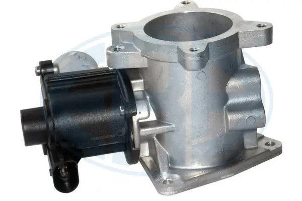 EGR Valve (WG1494638)