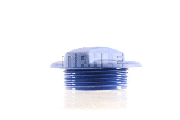 Cap, coolant tank
