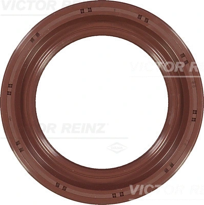 Shaft Seal, crankshaft (WG1250580)