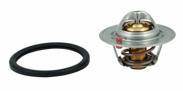 Thermostat, coolant (WG1409321)