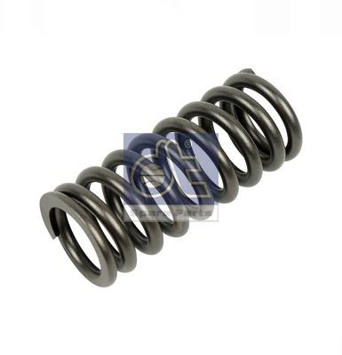Valve Spring (WG2306307)