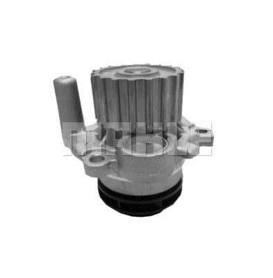 Water Pump, engine cooling (WG2181348)