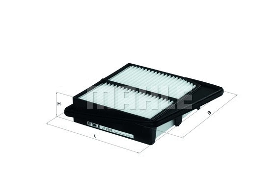 Air Filter (WG1216285)