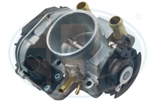 Throttle Body (WG1796591)