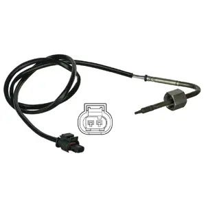 Sensor, exhaust gas temperature (WG1774466)