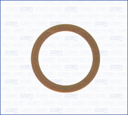 Seal Ring, oil drain plug (WG1451962)