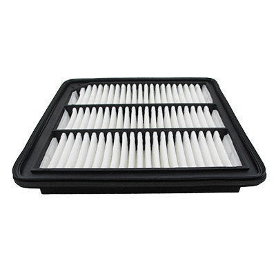 Filter, cabin air (WG1903572)