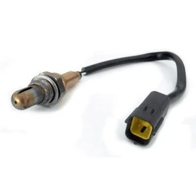 Lambda Sensor (WG1013873)