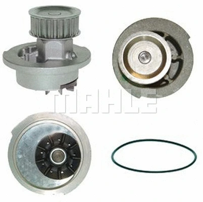 Water Pump, engine cooling (WG2181290)